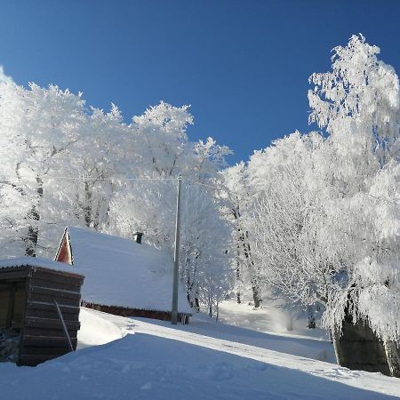 Mountain Village Žabljak Exteriér fotografie