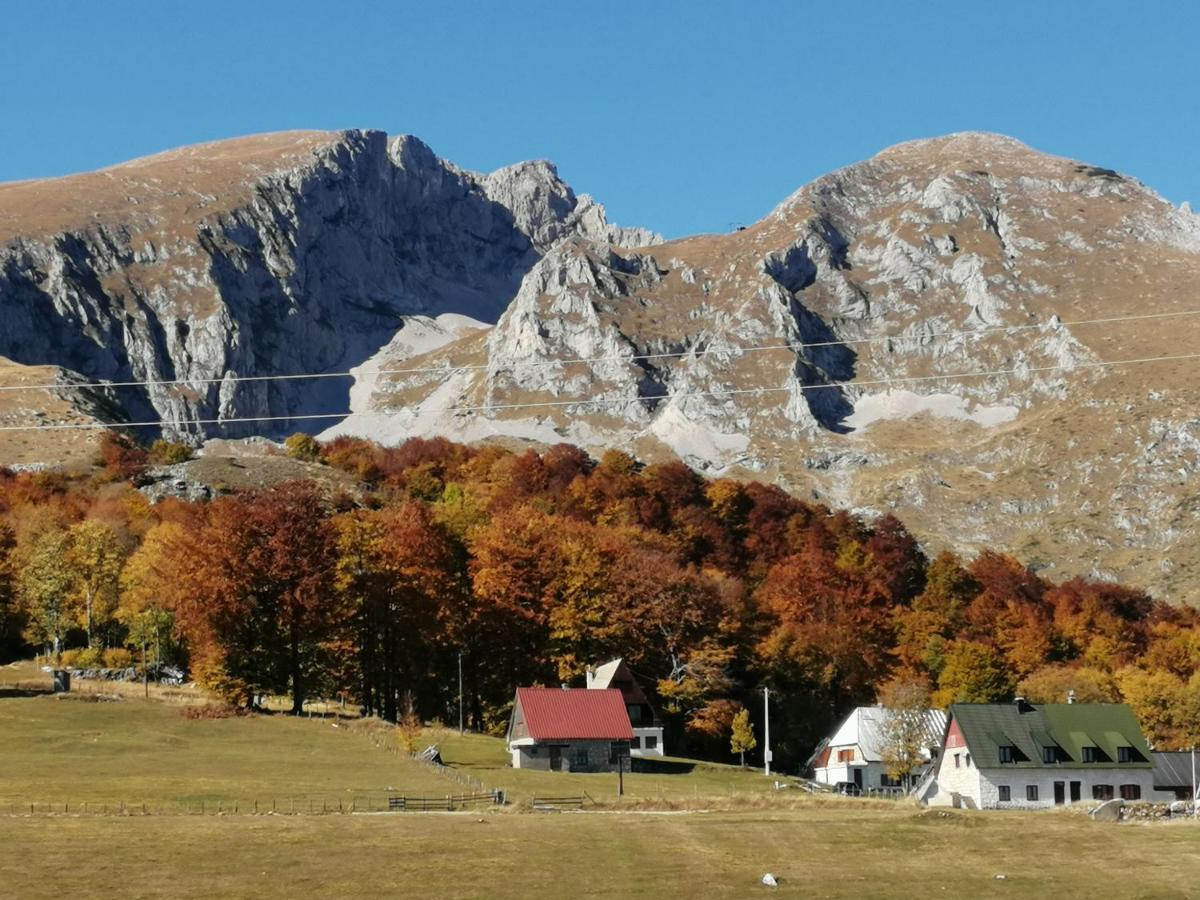 Mountain Village Žabljak Exteriér fotografie