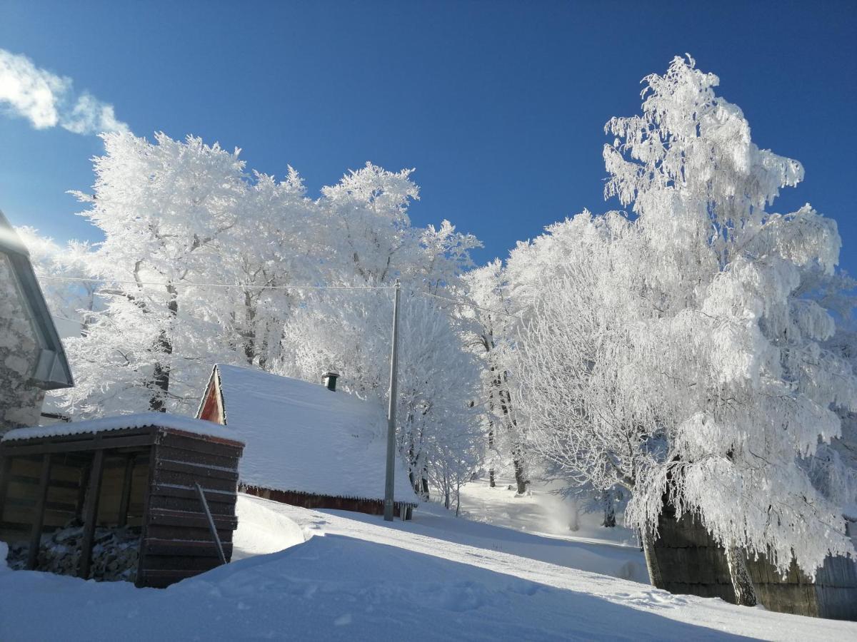 Mountain Village Žabljak Exteriér fotografie